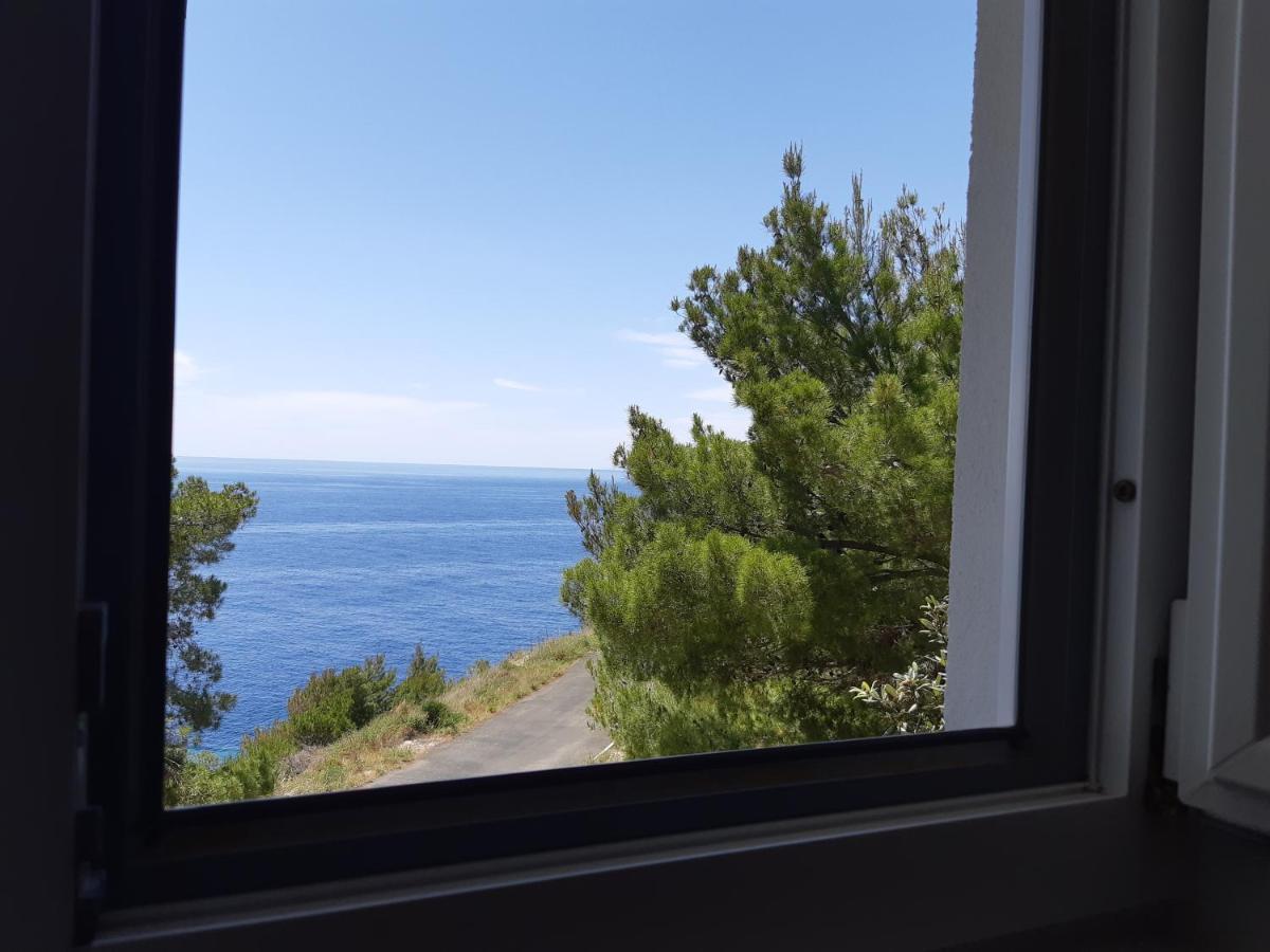 Apartments Rotim, Mljet, Sutmiholjska Babino Polje Exteriör bild